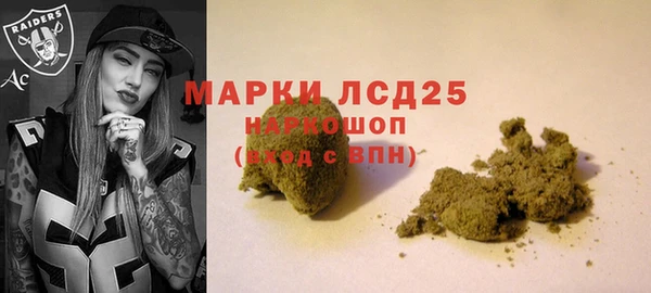 метадон Няндома