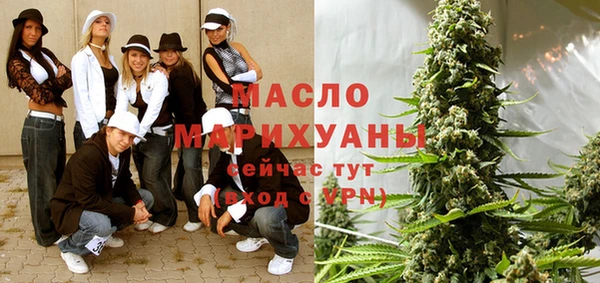 индика Новодвинск