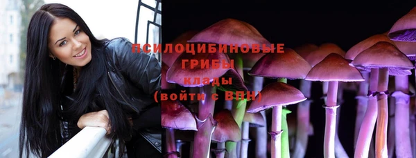 молекула духа Новозыбков