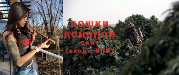 метадон Няндома