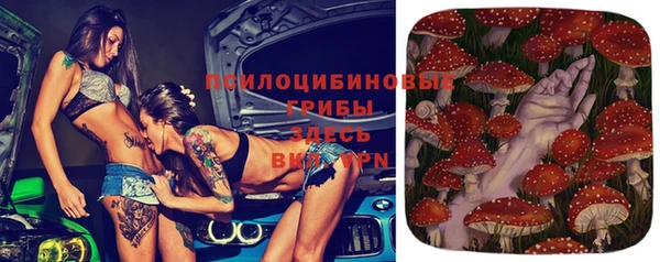 метадон Няндома