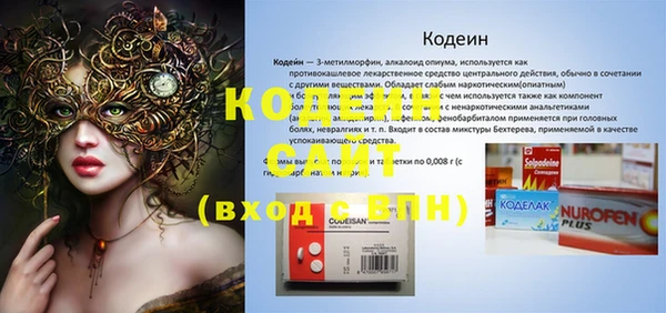 метадон Няндома