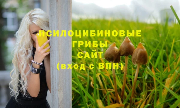 метадон Няндома