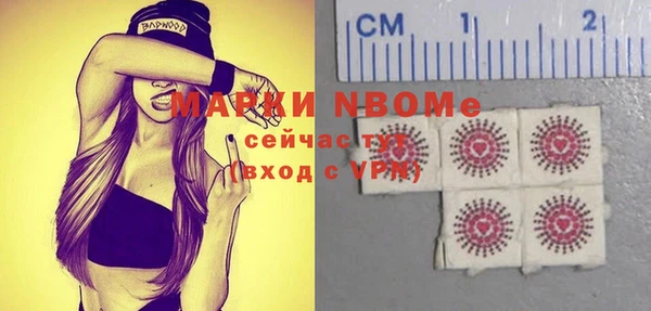 метадон Няндома