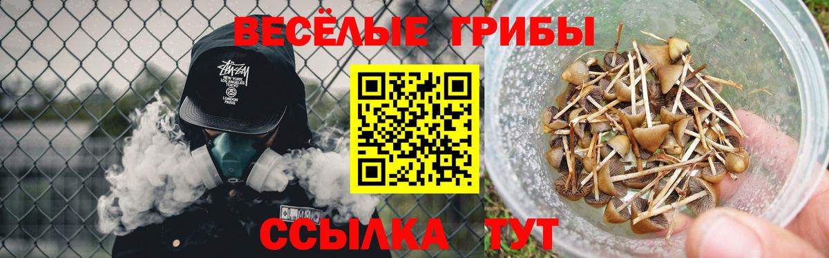 APVP Приморско-Ахтарск
