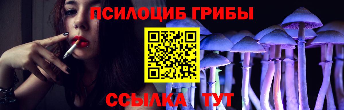 Приморско-Ахтарск  продажа наркотиков  Вход с VPN  Галлюциногенные грибы Cubensis 